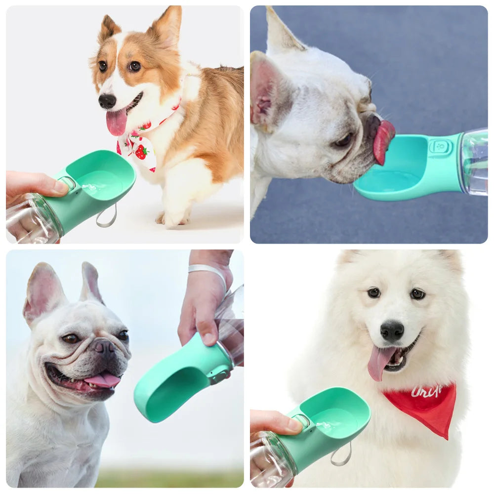 Gourde portable pour chien – Anti-fuite | CompagnonShop