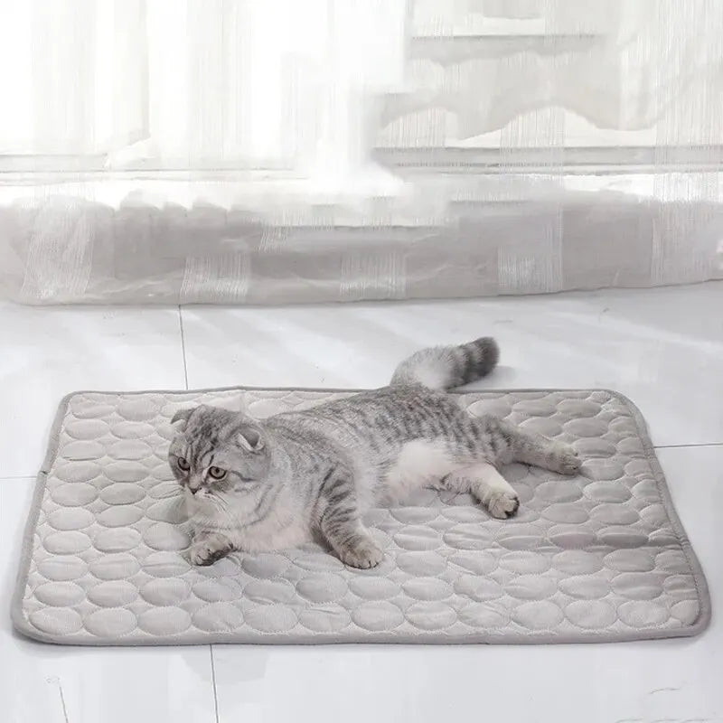 Tapis rafraîchissant pour chien et chat | CompagnonShop