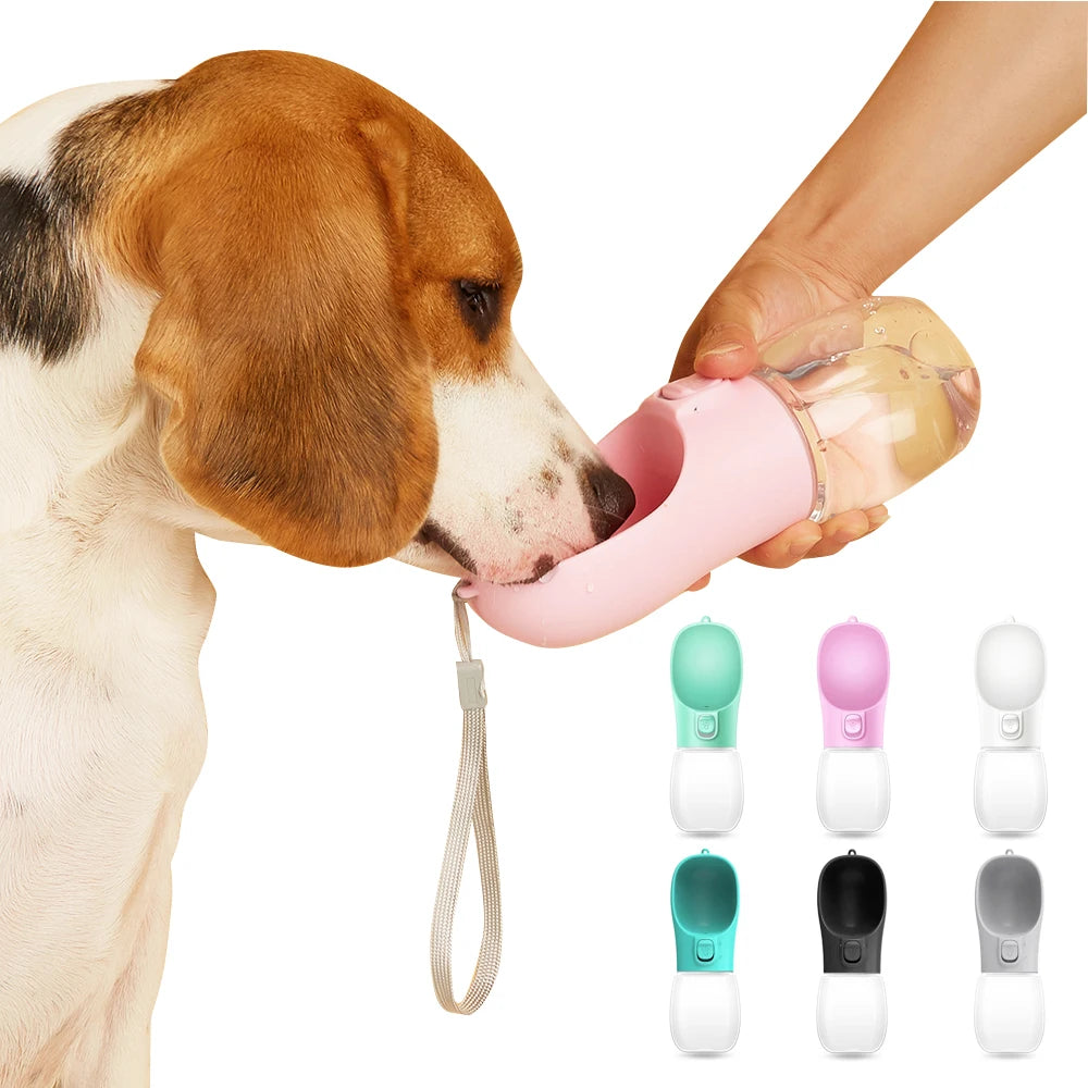 Gourde portable pour chien – Anti-fuite | CompagnonShop