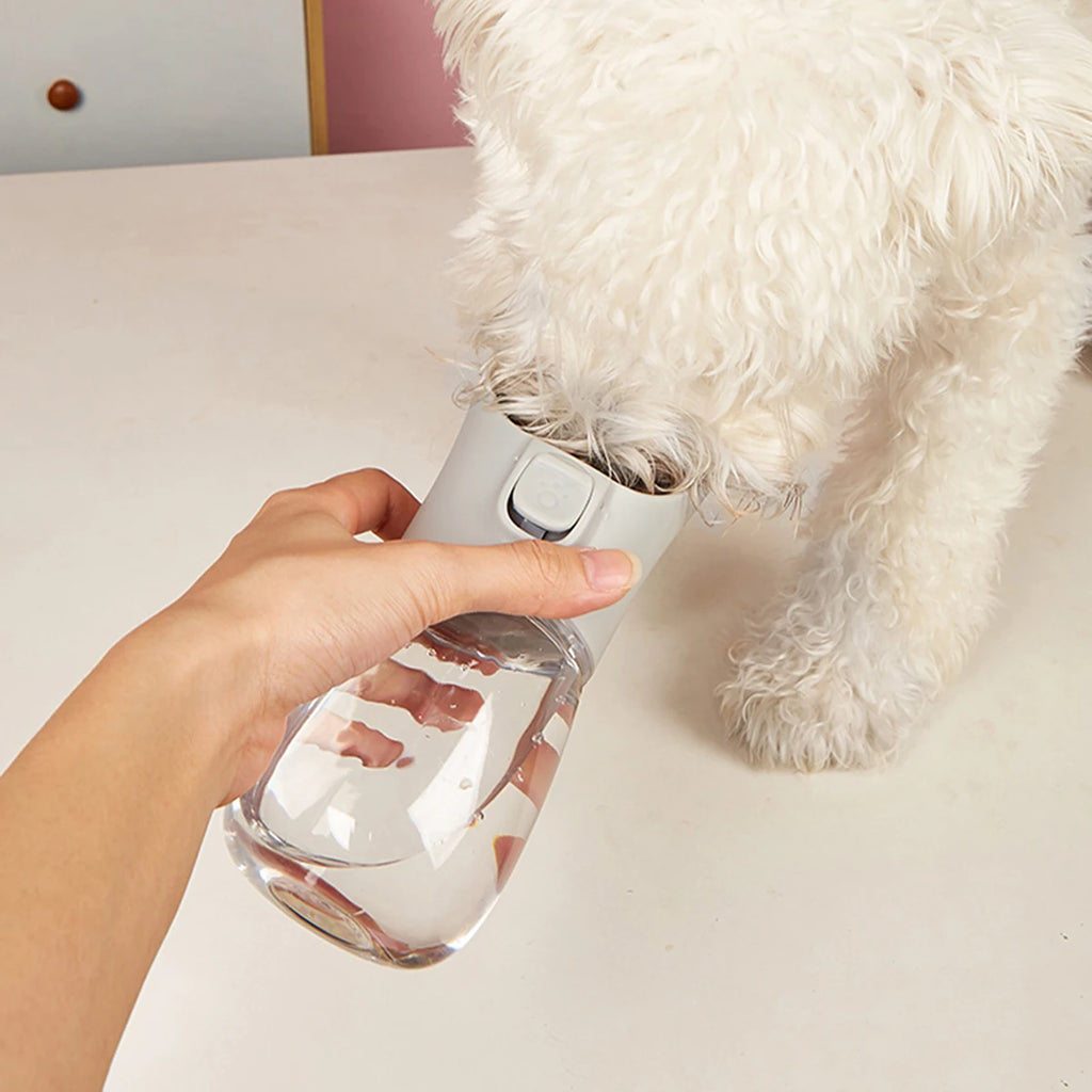 Gourde portable pour chien – Anti-fuite | CompagnonShop