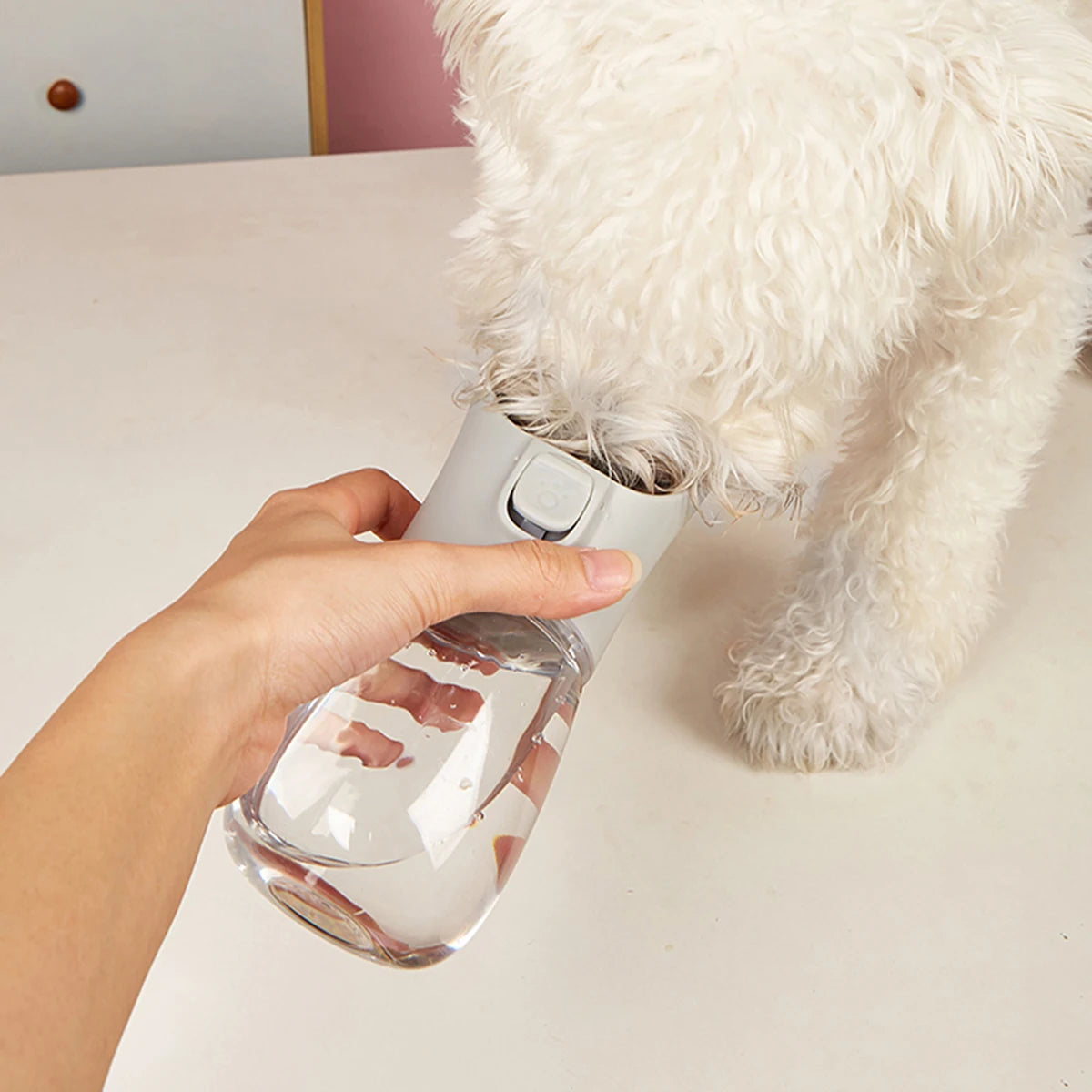 Gourde portable pour chien – Anti-fuite | CompagnonShop
