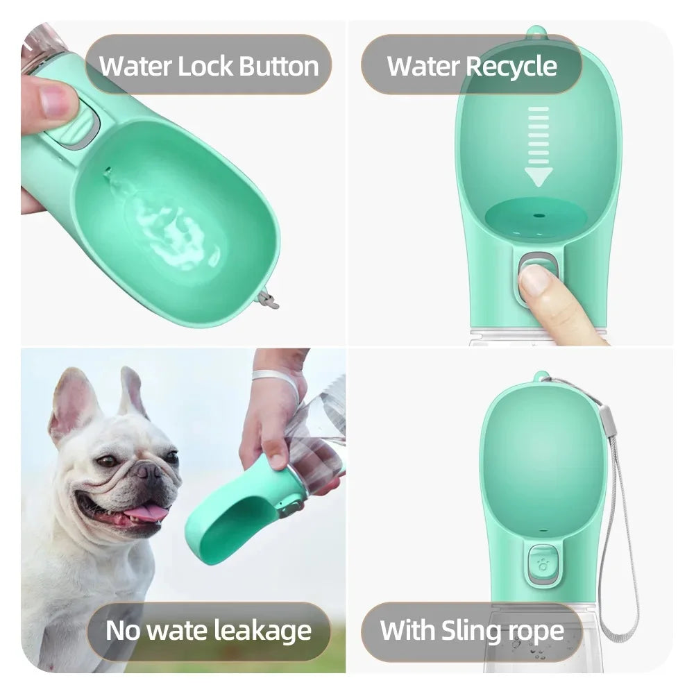 Gourde portable pour chien – Anti-fuite | CompagnonShop