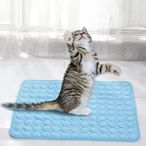 Tapis rafraîchissant pour chien et chat | CompagnonShop
